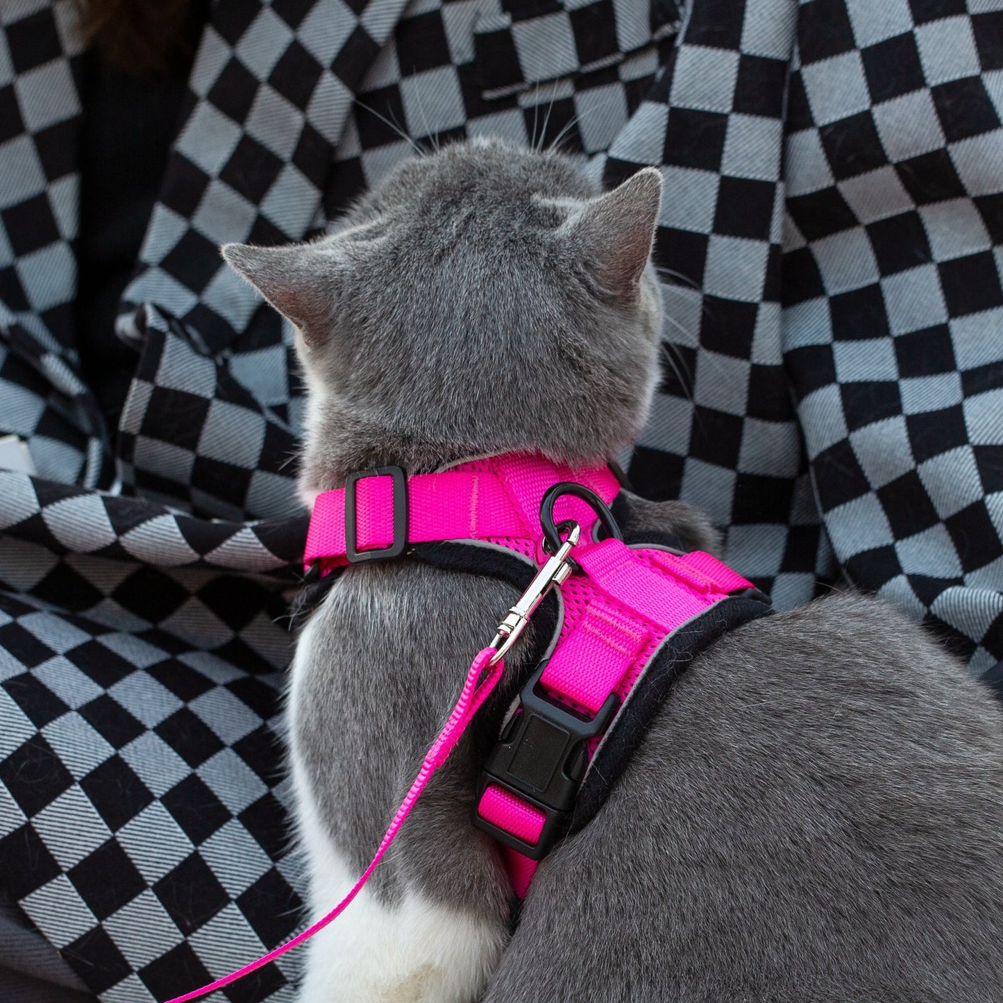 Mr. Peanut's PurrTrek Reflective Cat Harness with Matching Leash Mr. Peanut's Pet Carriers