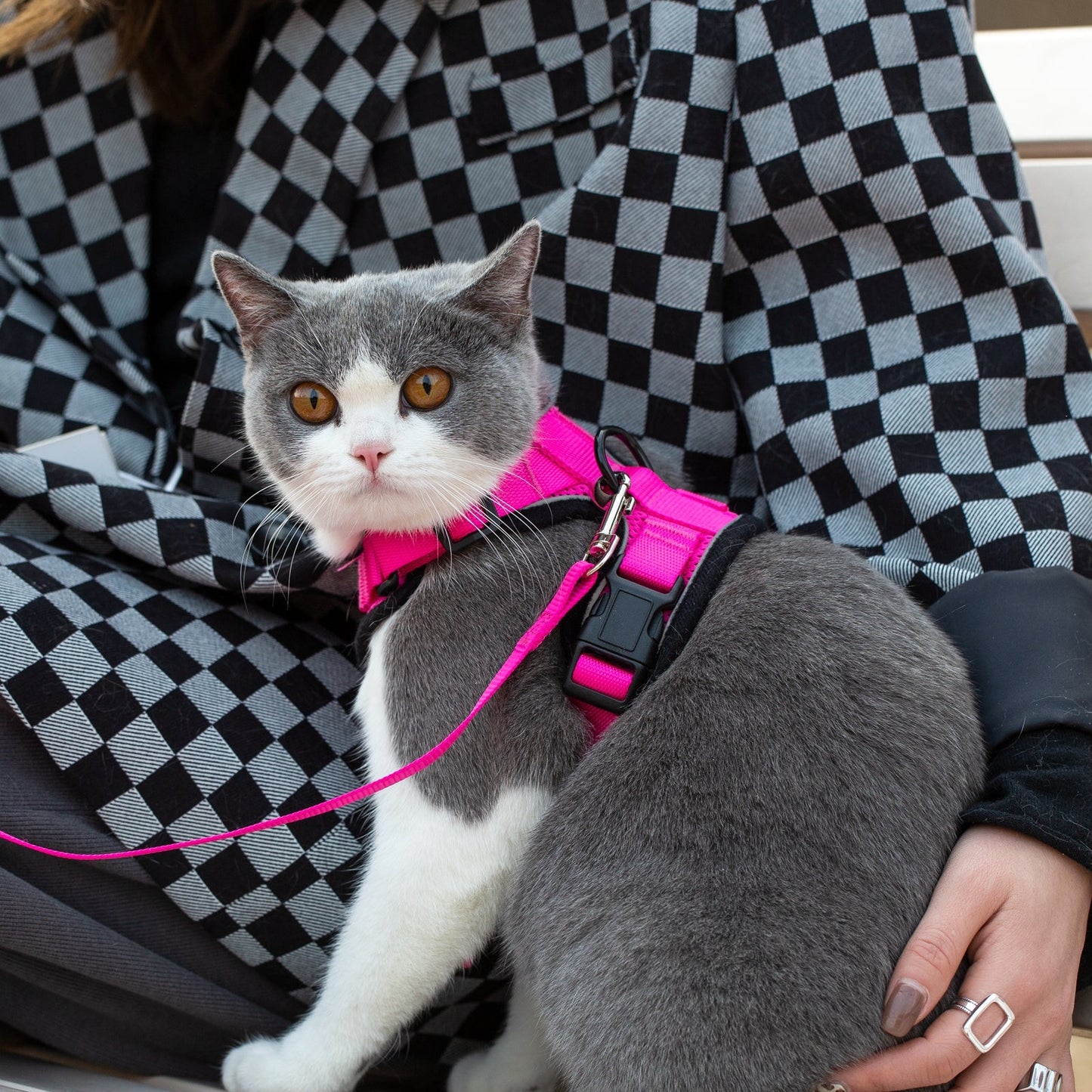 Mr. Peanut's PurrTrek Reflective Cat Harness with Matching Leash Mr. Peanut's Pet Carriers