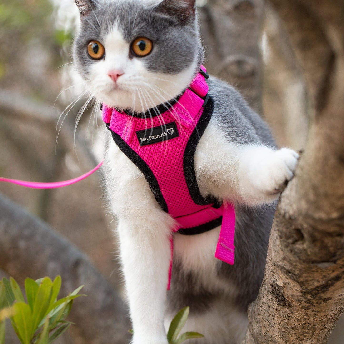 Mr. Peanut's PurrTrek Reflective Cat Harness with Matching Leash Mr. Peanut's Pet Carriers