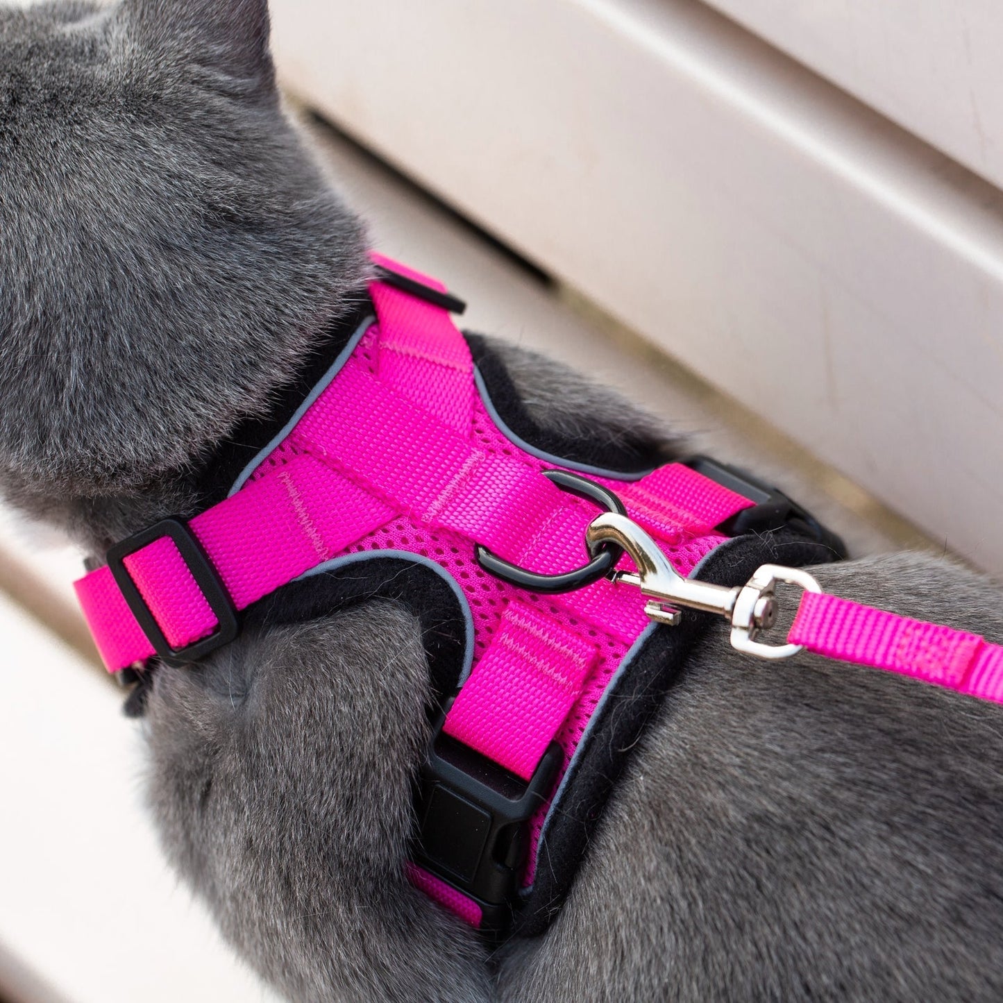 Mr. Peanut's PurrTrek Reflective Cat Harness with Matching Leash Mr. Peanut's Pet Carriers