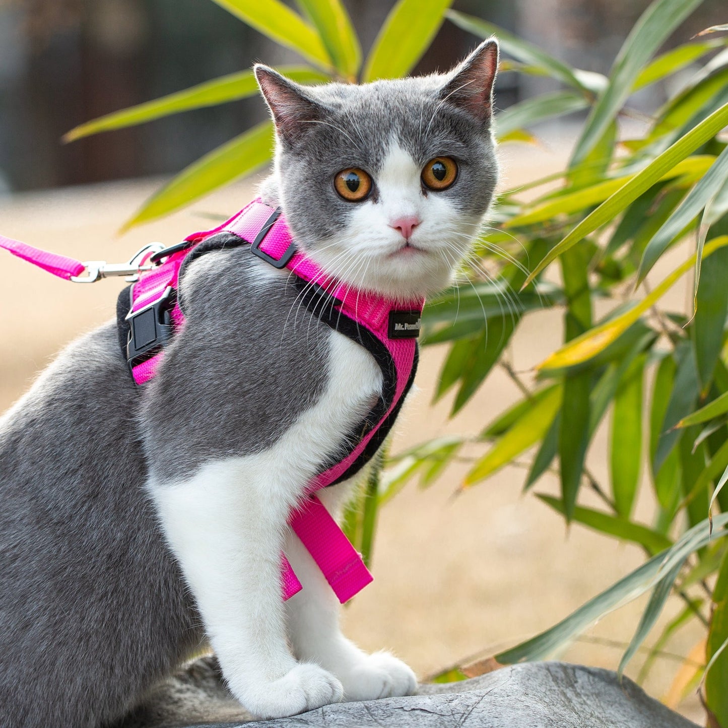 Mr. Peanut's PurrTrek Reflective Cat Harness with Matching Leash Mr. Peanut's Pet Carriers