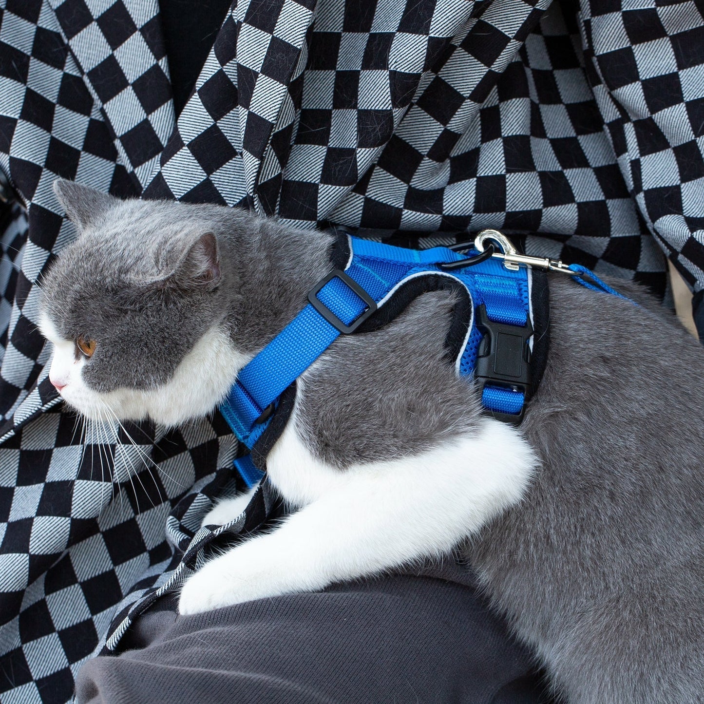 Mr. Peanut's PurrTrek Reflective Cat Harness with Matching Leash Mr. Peanut's Pet Carriers