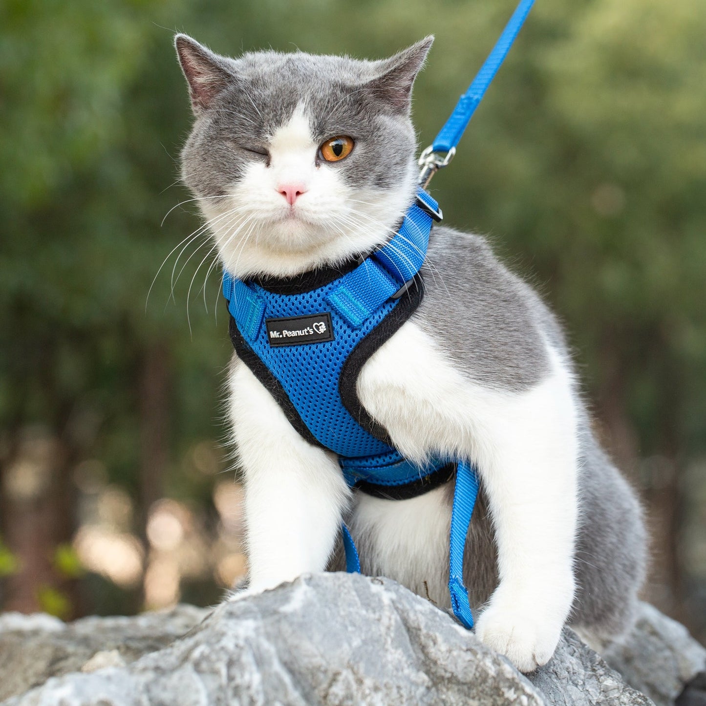Mr. Peanut's PurrTrek Reflective Cat Harness with Matching Leash Mr. Peanut's Pet Carriers