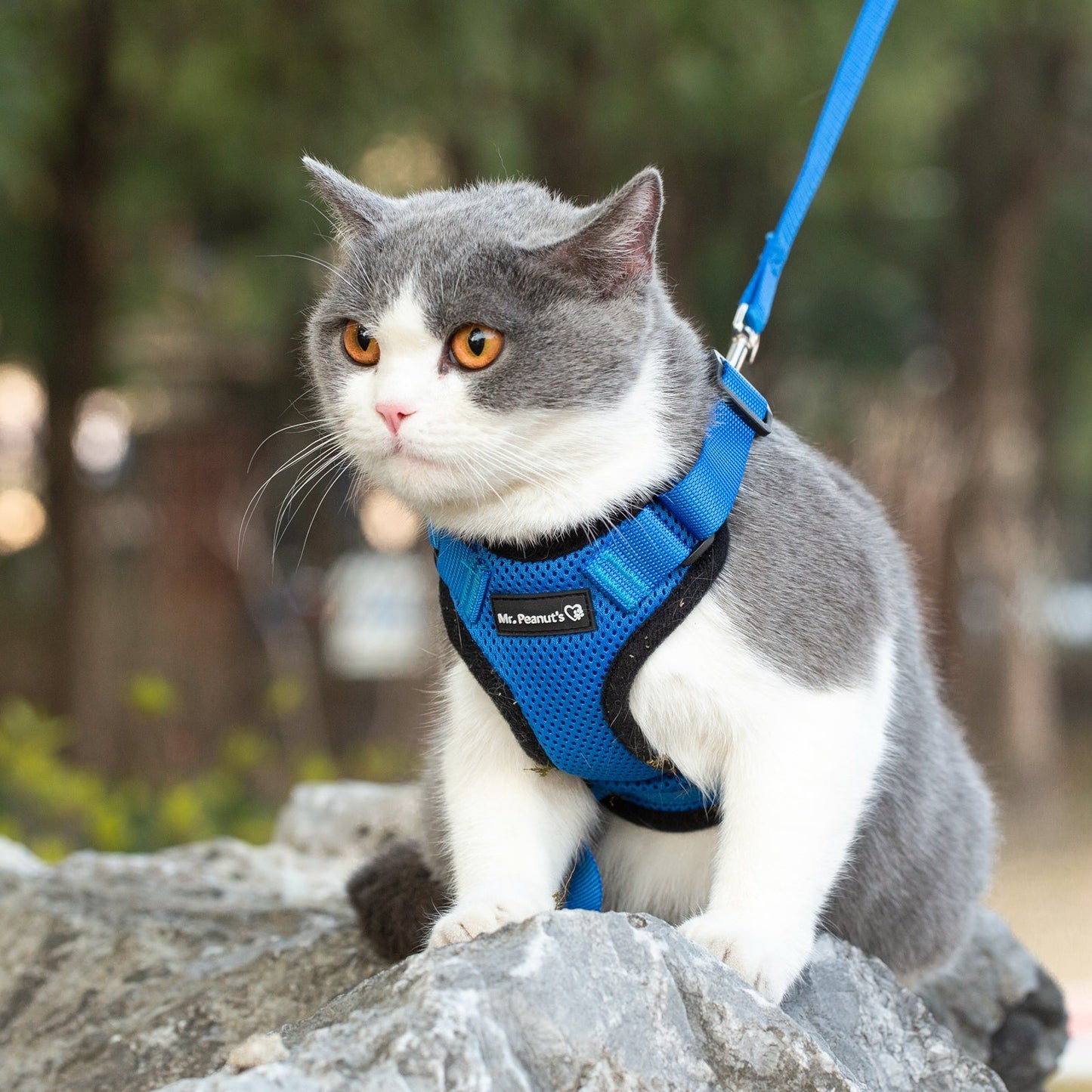 Mr. Peanut's PurrTrek Reflective Cat Harness with Matching Leash Mr. Peanut's Pet Carriers