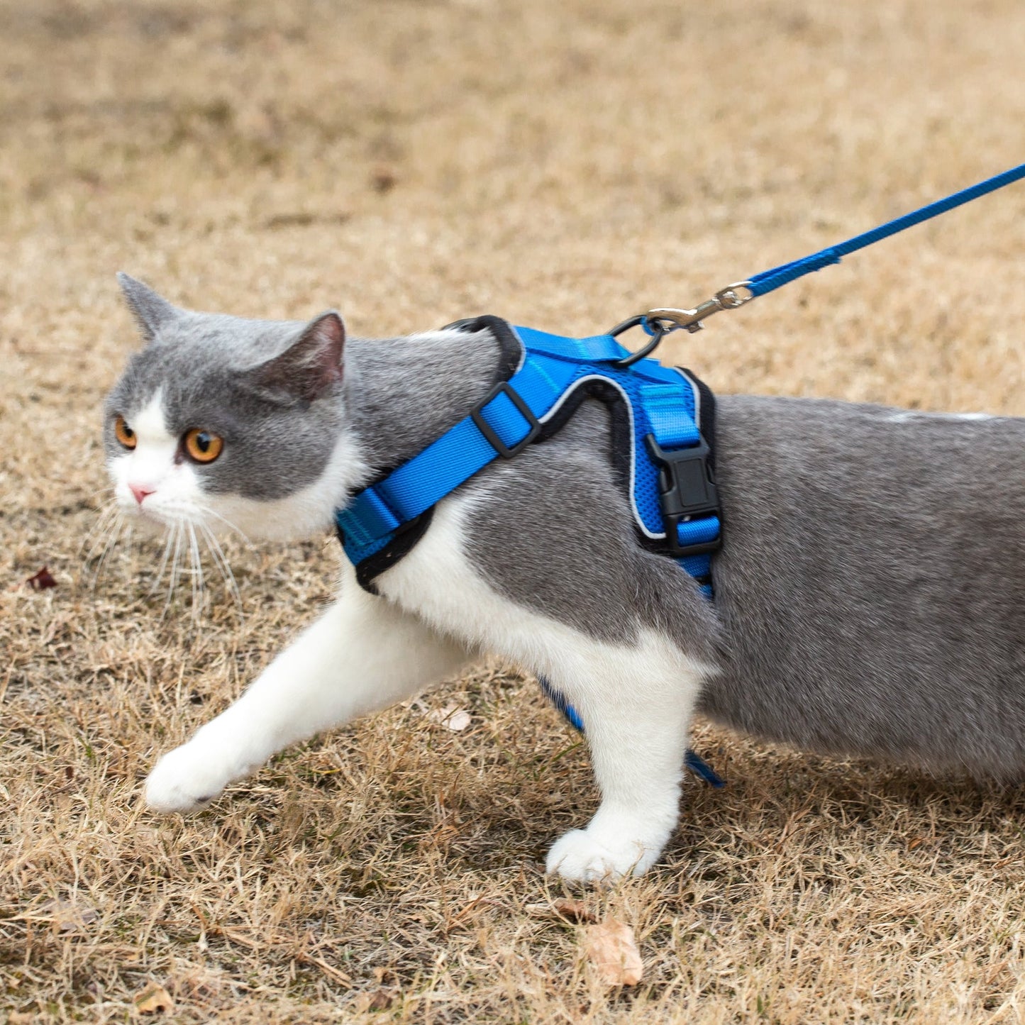 Mr. Peanut's PurrTrek Reflective Cat Harness with Matching Leash Mr. Peanut's Pet Carriers