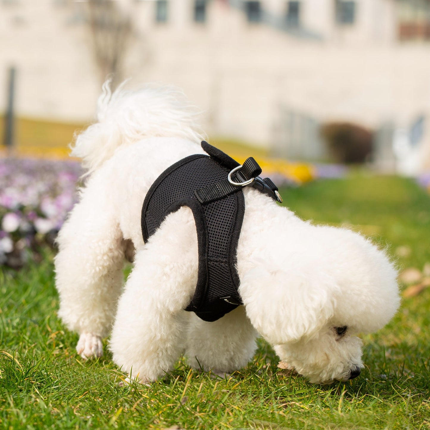 Mr. Peanut's PupTrek Harness and Leash Set, Small Dog/Cat Soft Mesh Step In Harness Vest Mr. Peanut's Pet Carriers
