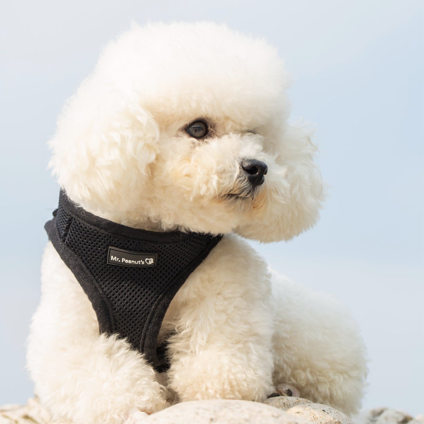 Mr. Peanut's PupTrek Harness and Leash Set, Small Dog/Cat Soft Mesh Step In Harness Vest Mr. Peanut's Pet Carriers