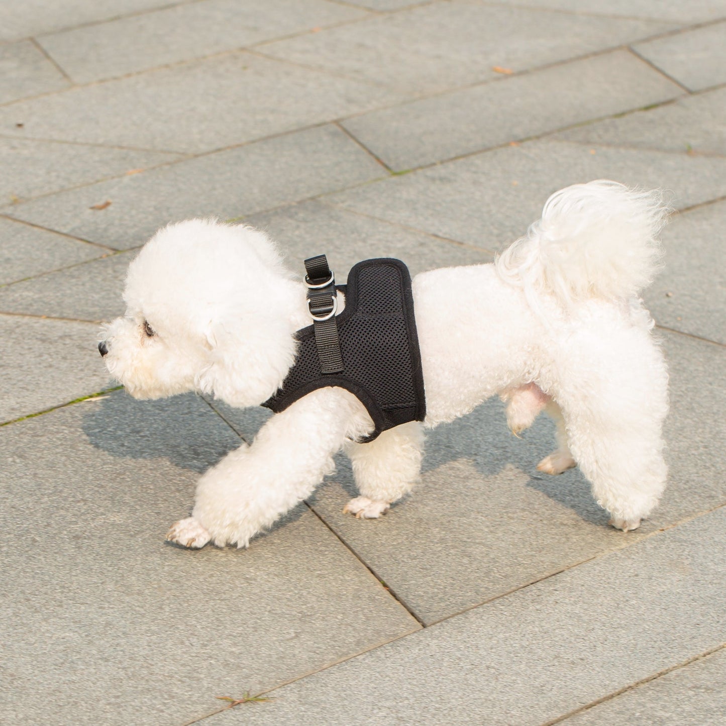 Mr. Peanut's PupTrek Harness and Leash Set, Small Dog/Cat Soft Mesh Step In Harness Vest Mr. Peanut's Pet Carriers
