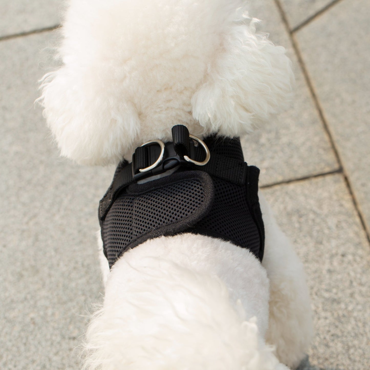 Mr. Peanut's PupTrek Harness and Leash Set, Small Dog/Cat Soft Mesh Step In Harness Vest Mr. Peanut's Pet Carriers