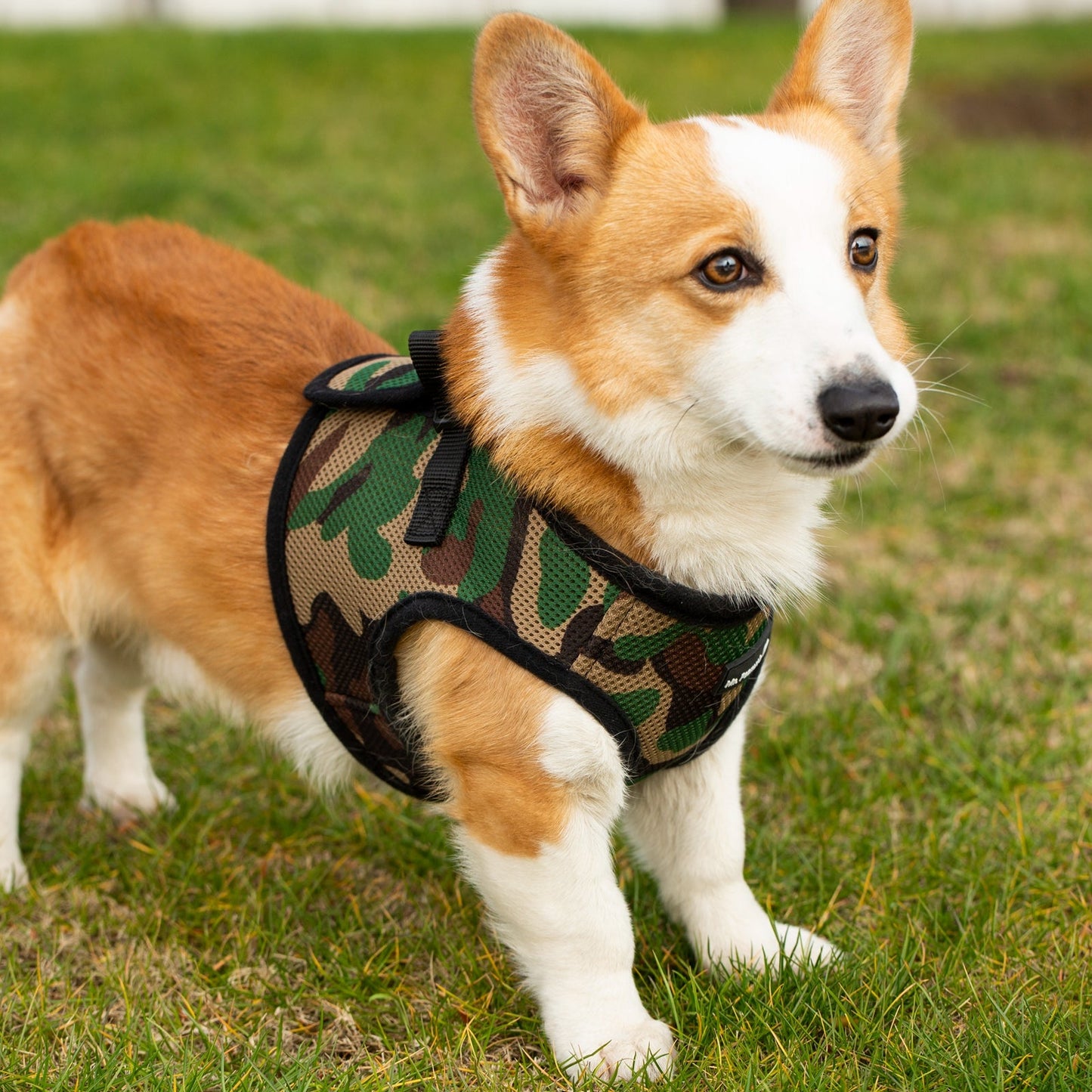 Mr. Peanut's PupTrek Harness and Leash Set, Small Dog/Cat Soft Mesh Step In Harness Vest Mr. Peanut's Pet Carriers