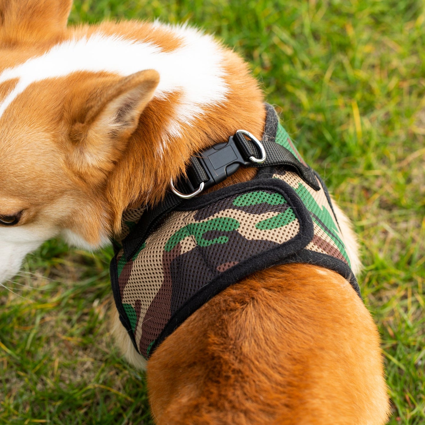 Mr. Peanut's PupTrek Harness and Leash Set, Small Dog/Cat Soft Mesh Step In Harness Vest Mr. Peanut's Pet Carriers