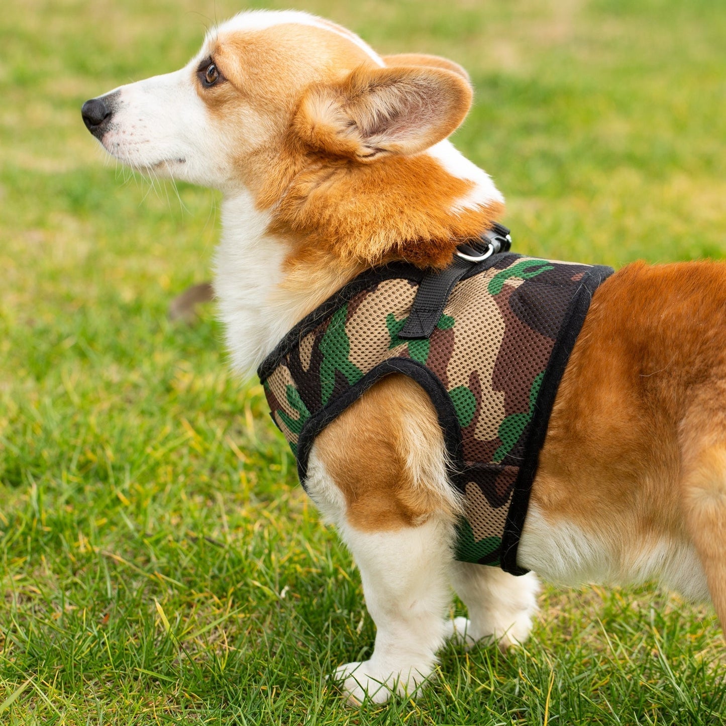Mr. Peanut's PupTrek Harness and Leash Set, Small Dog/Cat Soft Mesh Step In Harness Vest Mr. Peanut's Pet Carriers