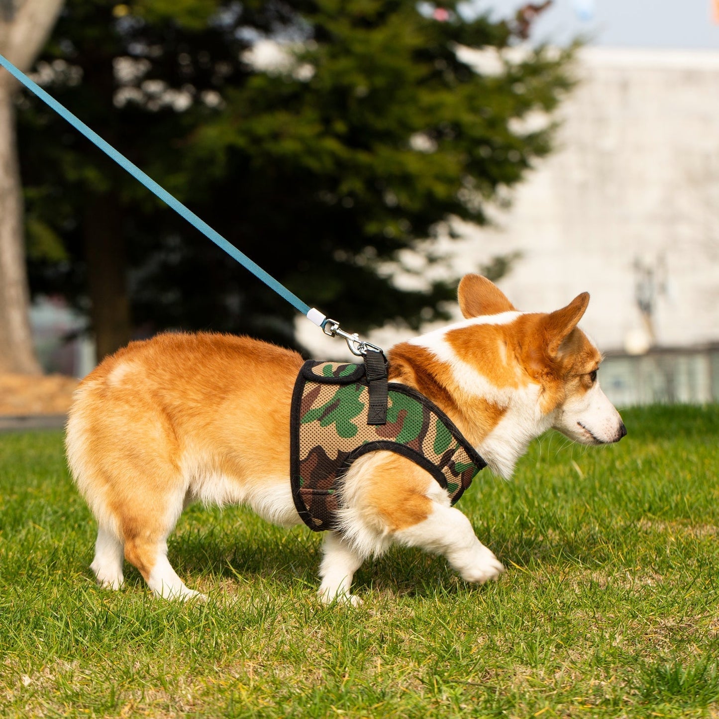 Mr. Peanut's PupTrek Harness and Leash Set, Small Dog/Cat Soft Mesh Step In Harness Vest Mr. Peanut's Pet Carriers