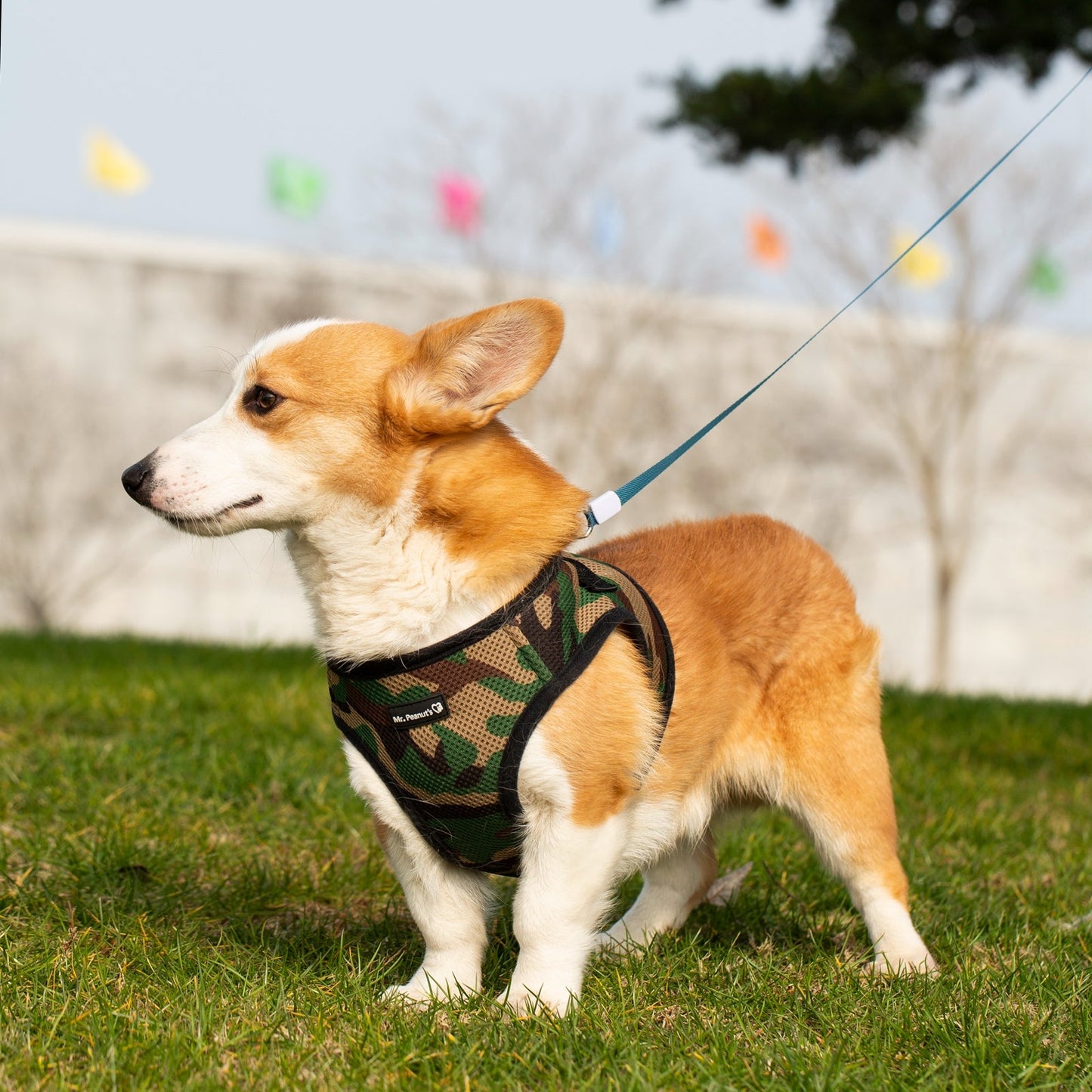 Mr. Peanut's PupTrek Harness and Leash Set, Small Dog/Cat Soft Mesh Step In Harness Vest Mr. Peanut's Pet Carriers