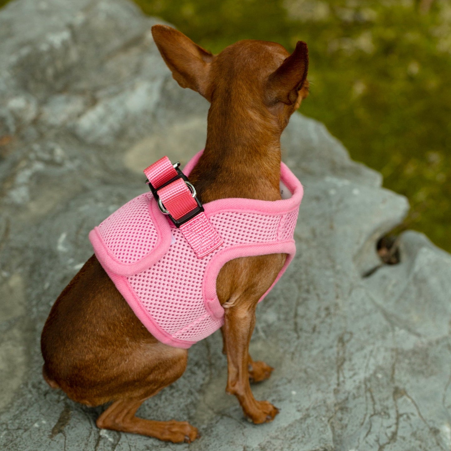 Mr. Peanut's PupTrek Harness and Leash Set, Small Dog/Cat Soft Mesh Step In Harness Vest Mr. Peanut's Pet Carriers