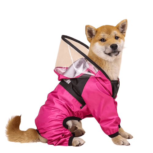 Frontier Rain Coat The Dog Face