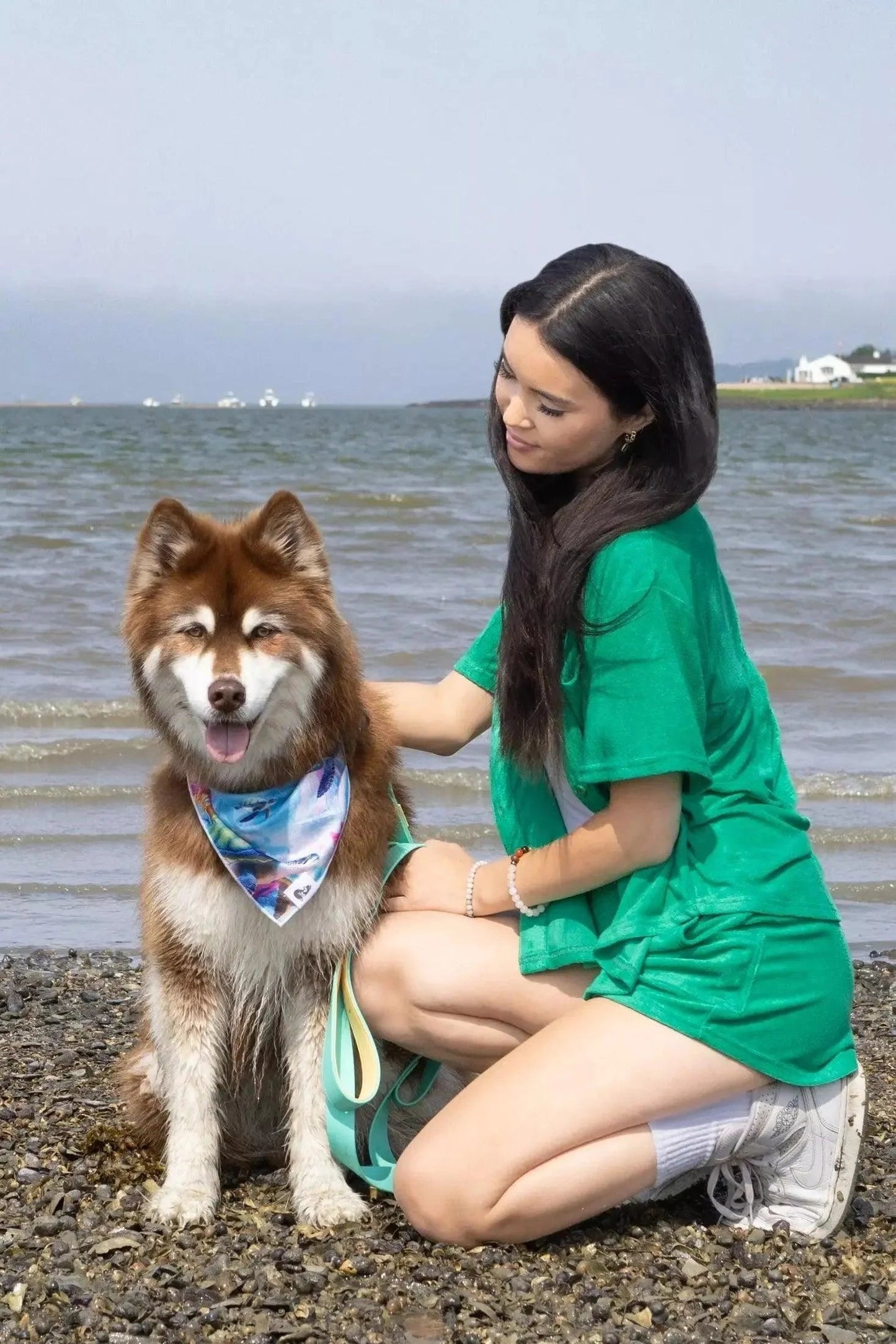 Sea Turtle Swim Dog Bandana Aria the Fox