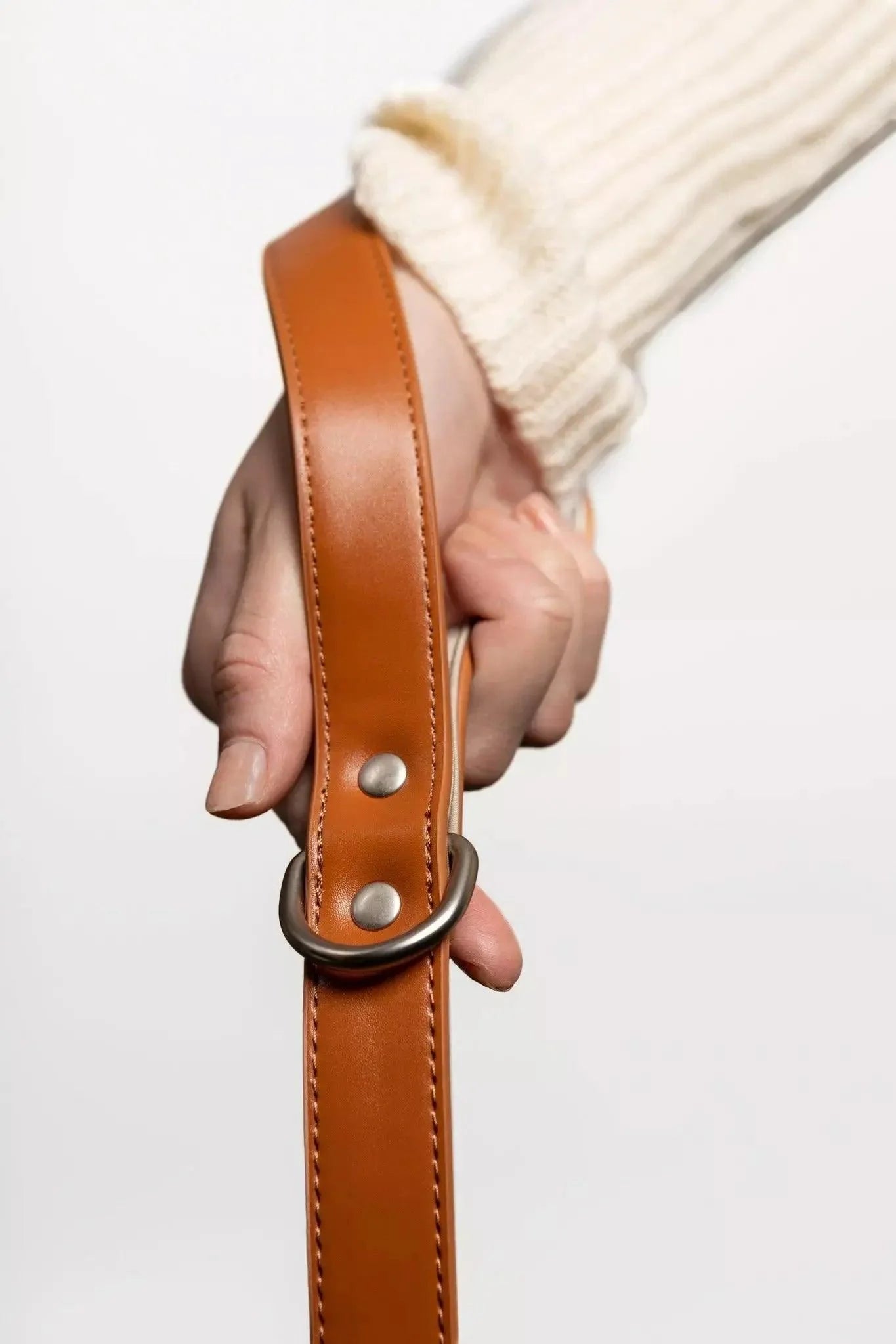 Sierra Sunrise Vegan Leather Dog Leash Aria the Fox