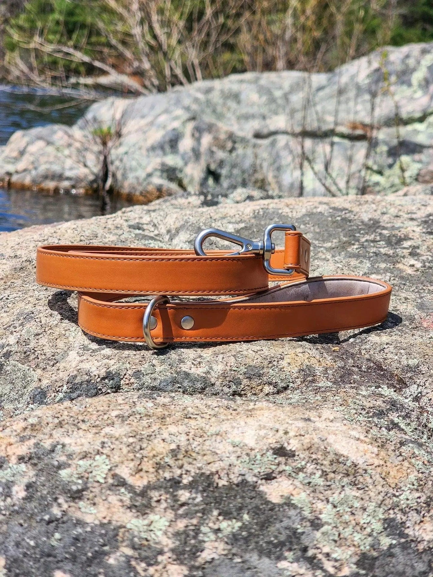 Sierra Sunrise Vegan Leather Dog Leash Aria the Fox