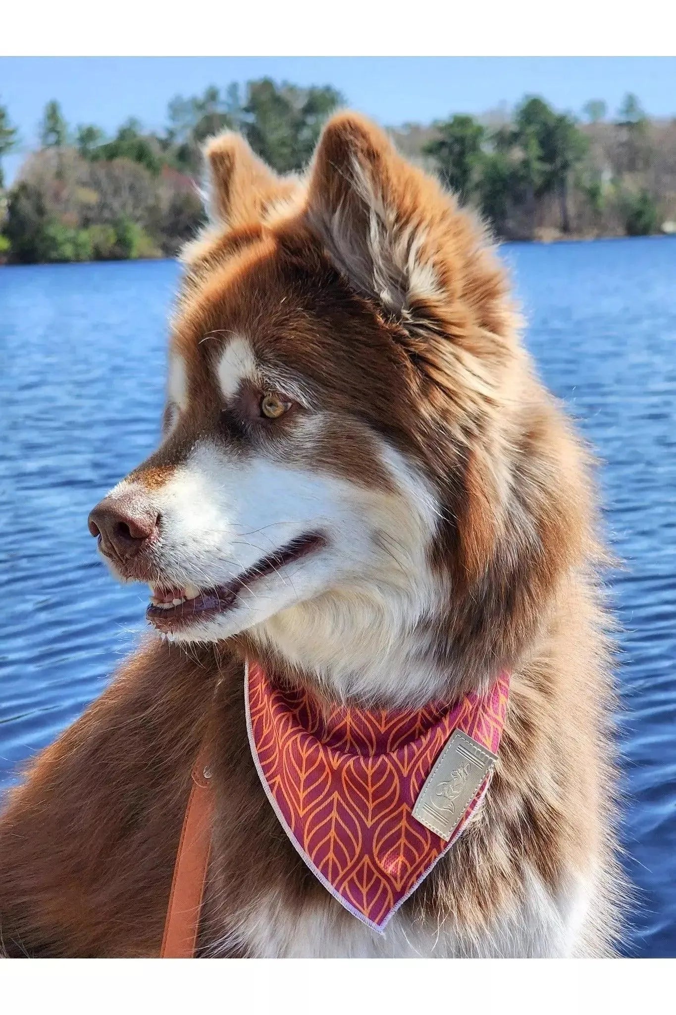 Twilight Trails Bandana & Matching Keychain Aria the Fox