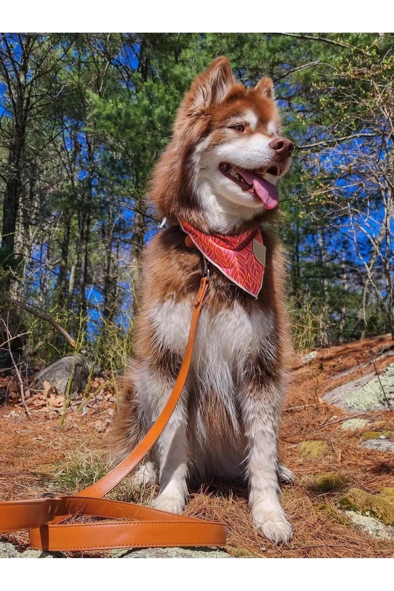 Twilight Trails Bandana & Matching Keychain Aria the Fox