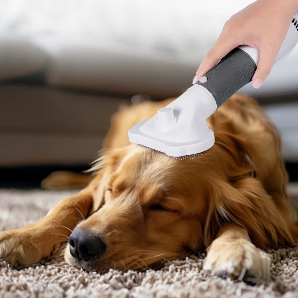 Pet Grooming Dryer for Small Dog and Cat MJ's Pet Closet