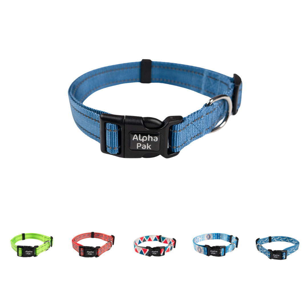 Everyday Adventure Dog Collar Alpha Pak