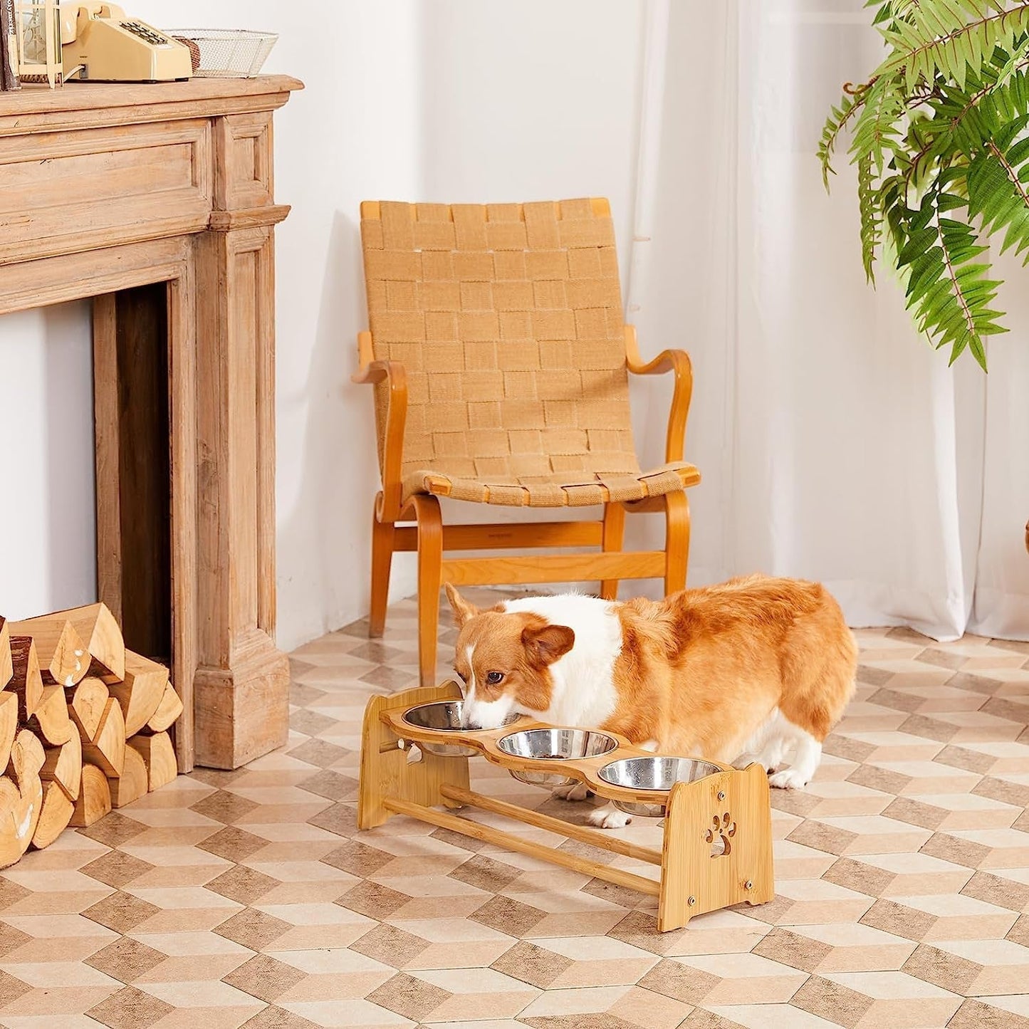 Elevated Dog Bowls for Cats and Dogs MJ's Pet Closet