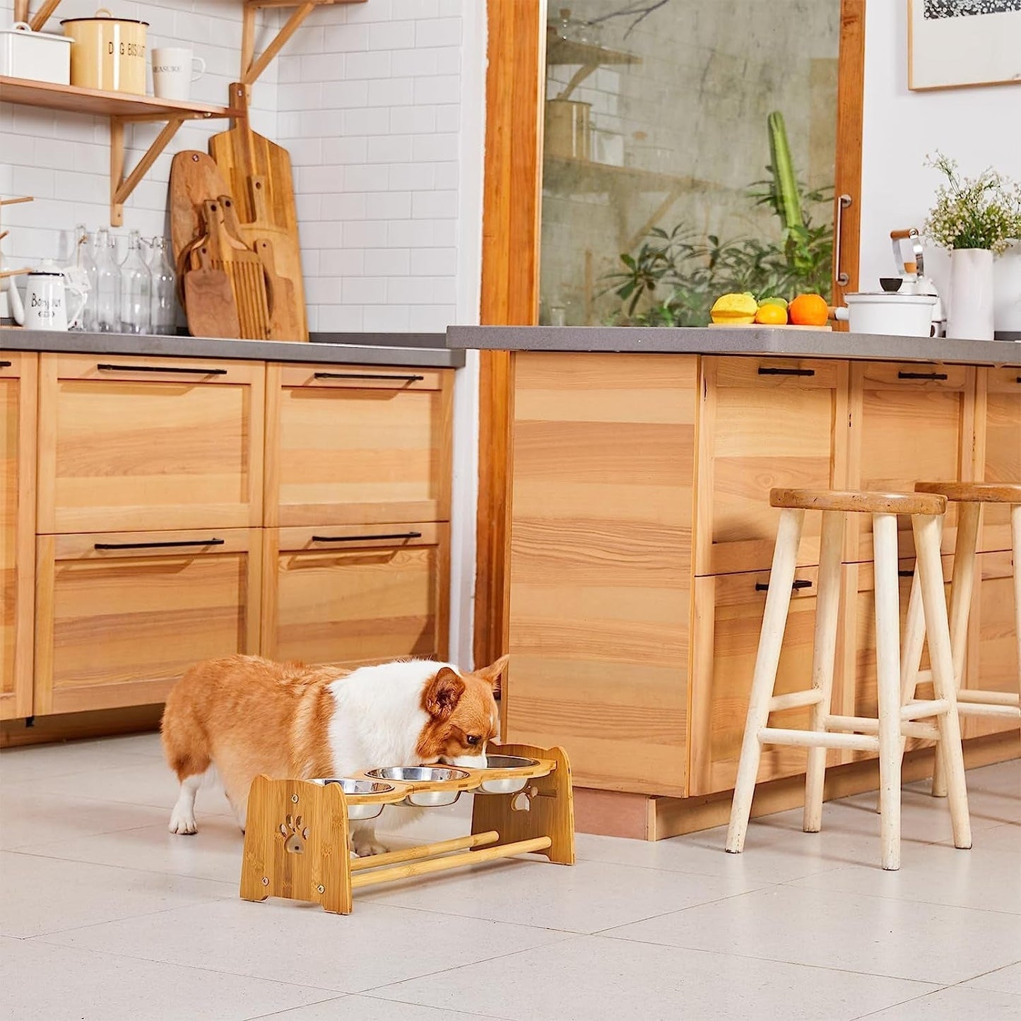 Elevated Dog Bowls for Cats and Dogs MJ's Pet Closet