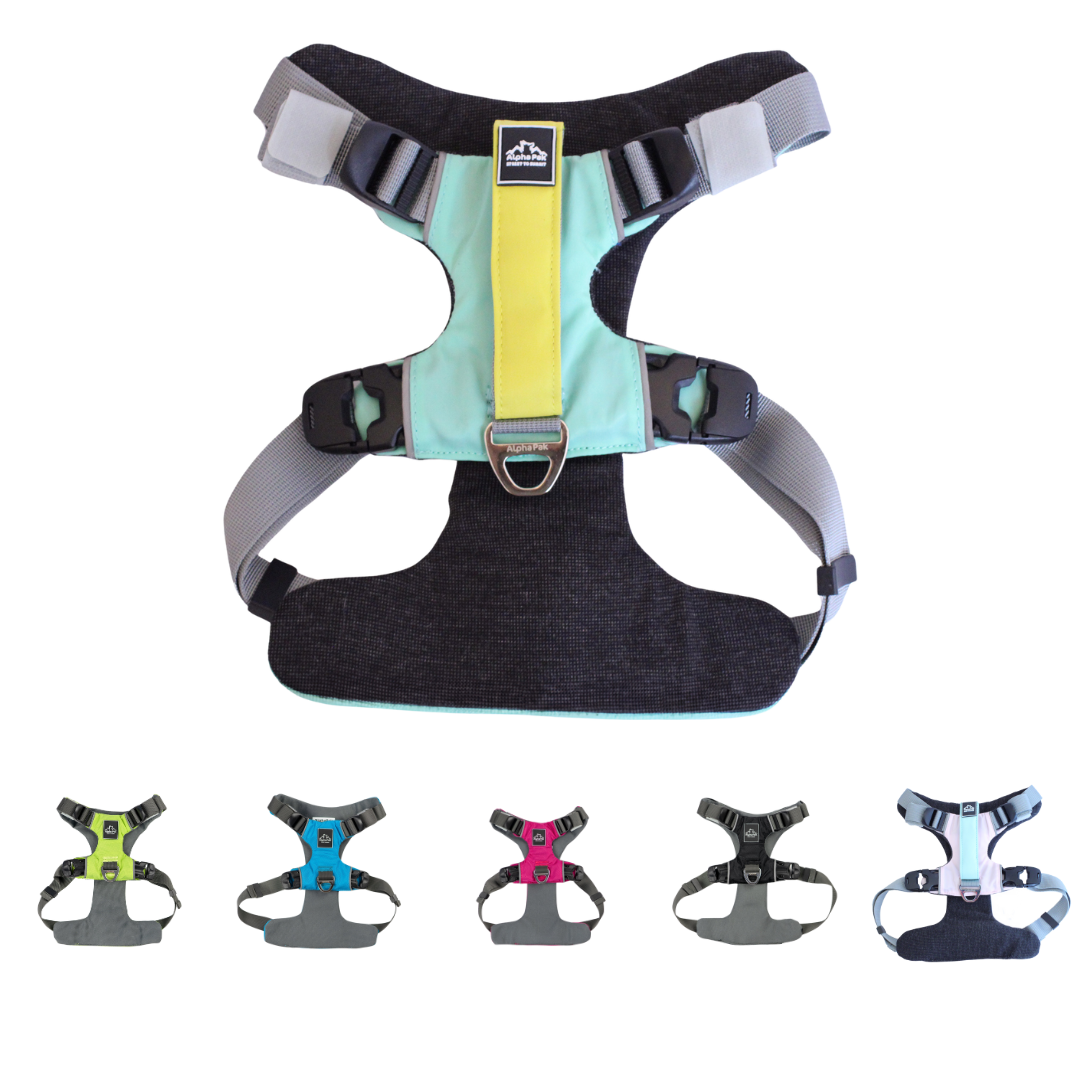 Everyday Adventure Dog Harness Alpha Pak