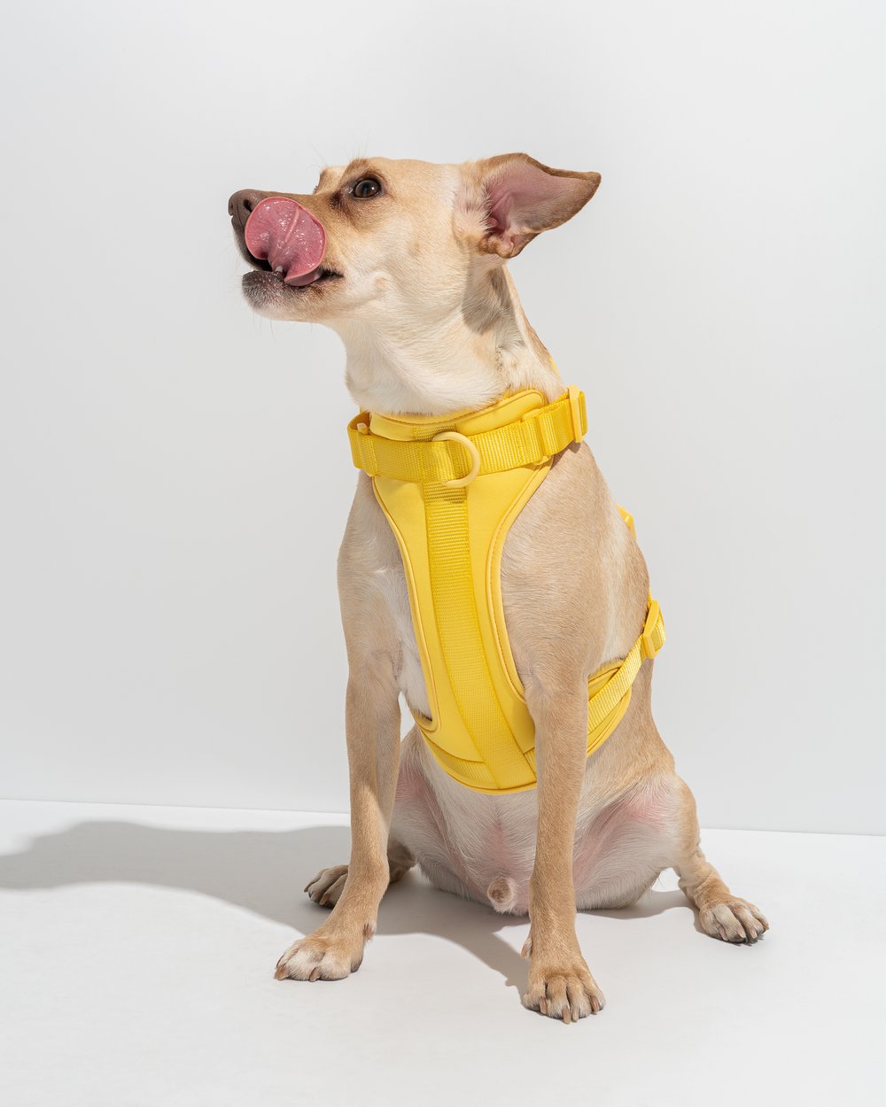 Luxe Harness Pawmigo