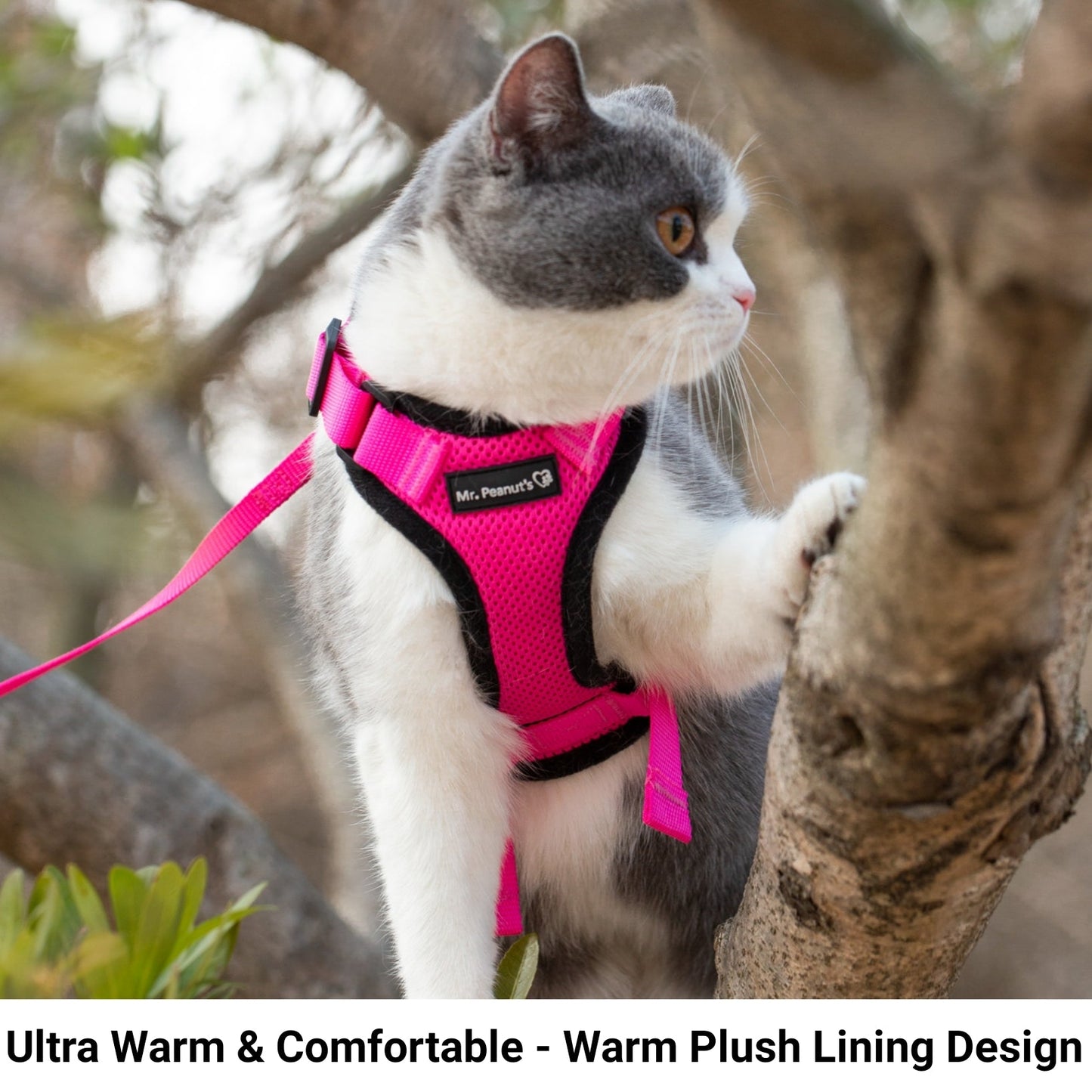 Mr. Peanut's PurrTrek Reflective Cat Harness with Matching Leash Mr. Peanut's Pet Carriers