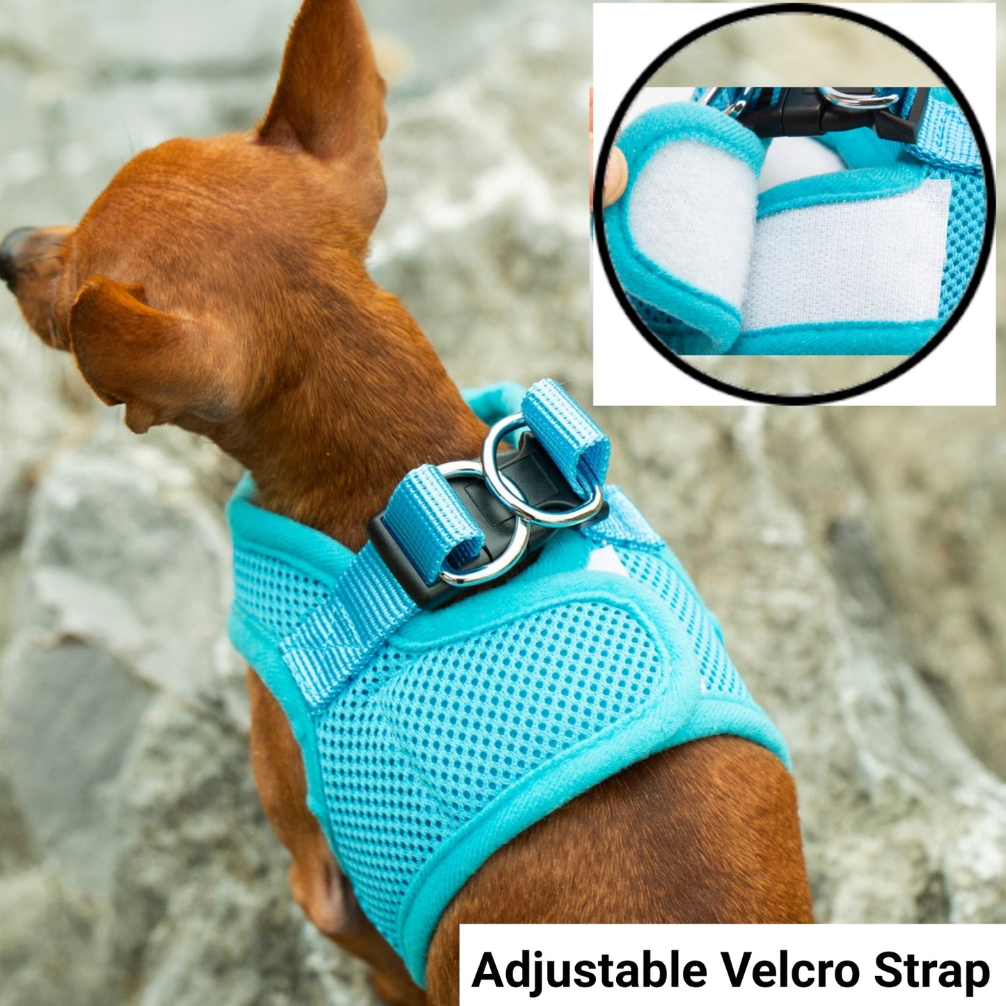 Mr. Peanut's PupTrek Harness and Leash Set, Small Dog/Cat Soft Mesh Step In Harness Vest Mr. Peanut's Pet Carriers
