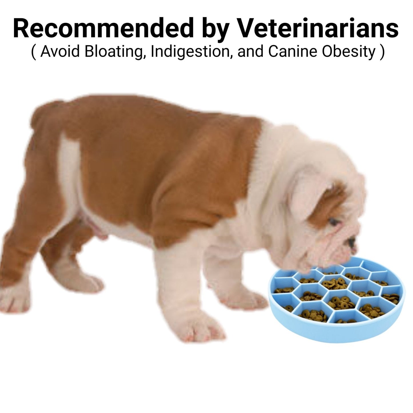 Mr. Peanut's Silicone Slow Feeder Dog Bowl Mr. Peanut's Pet Carriers