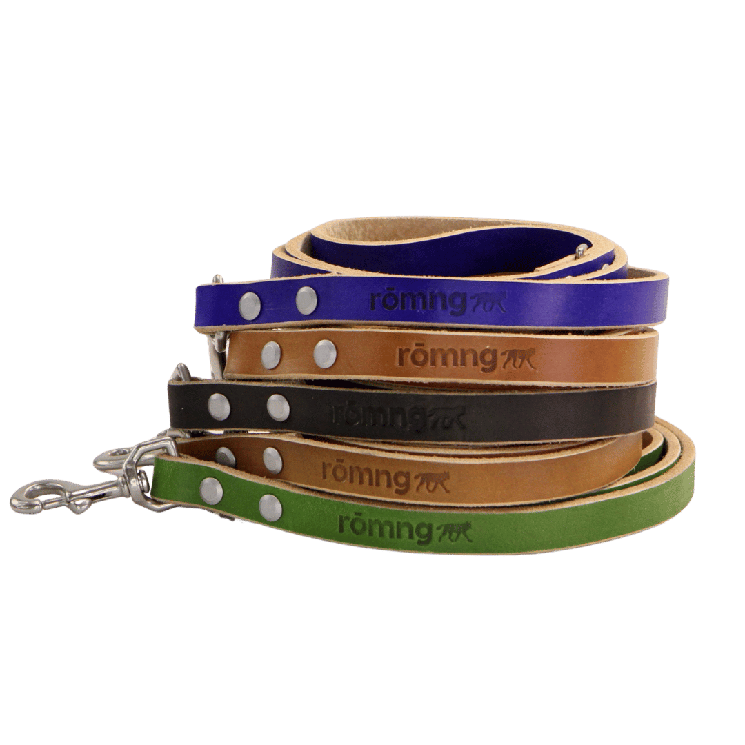 48" Genuine Leather Dog Leashes - Made in USA rōmng