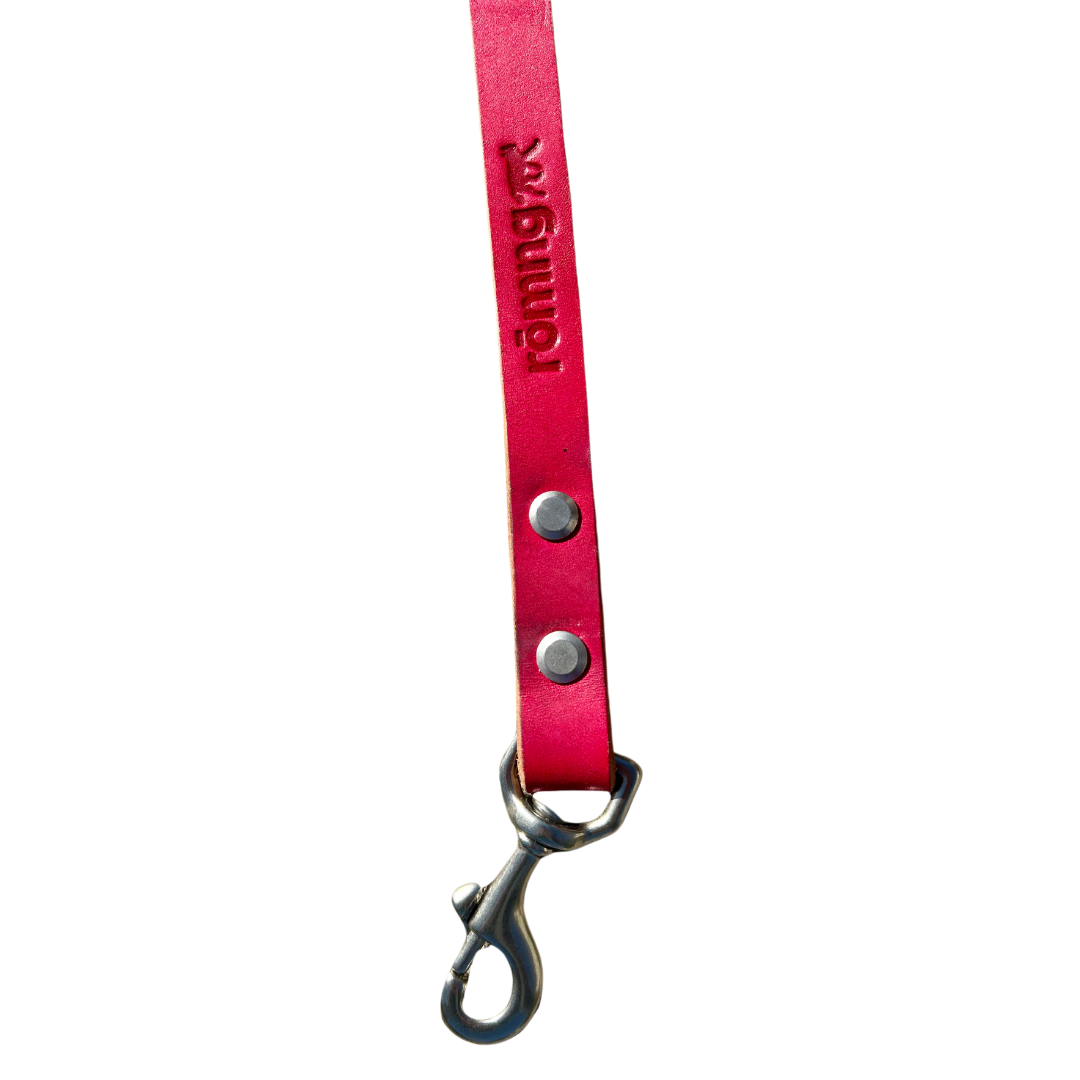 48" Genuine Leather Dog Leashes - Made in USA rōmng