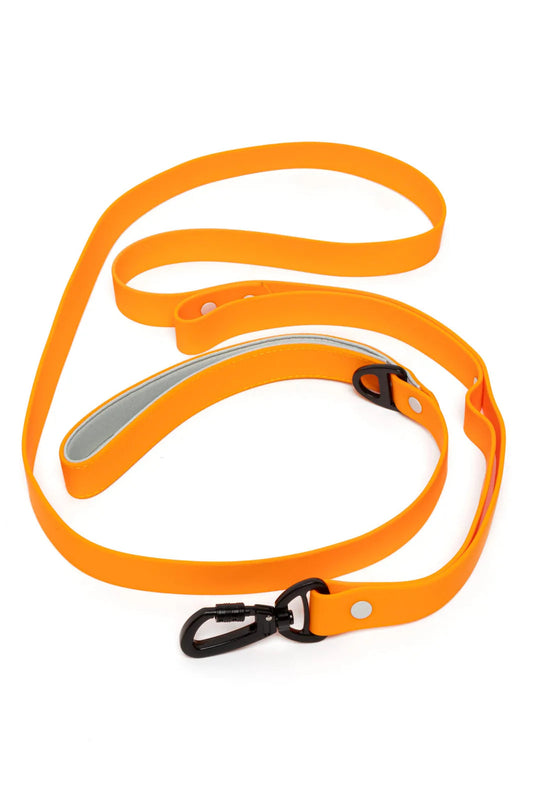 Crimson Glow Waterproof Dog Leash Aria the Fox