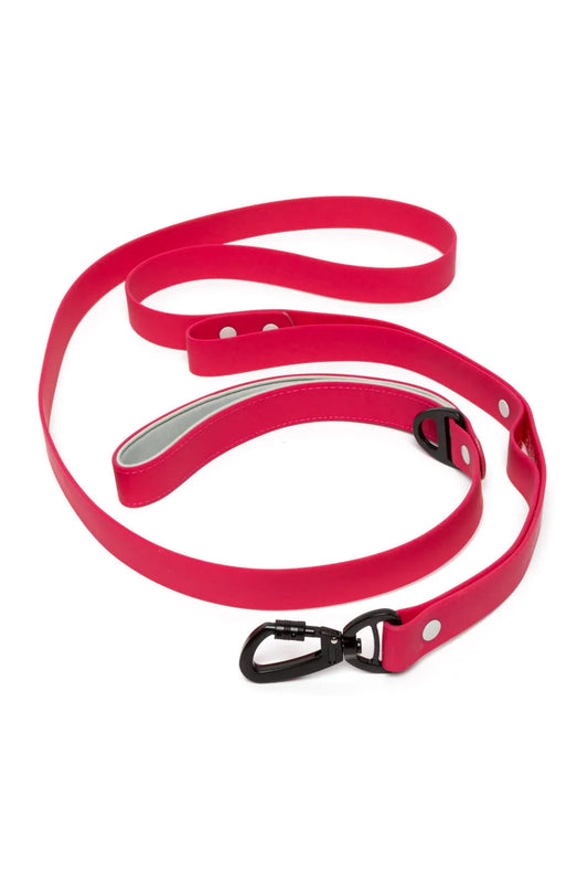 Red Mountain Syrah Waterproof Dog Leash Aria the Fox