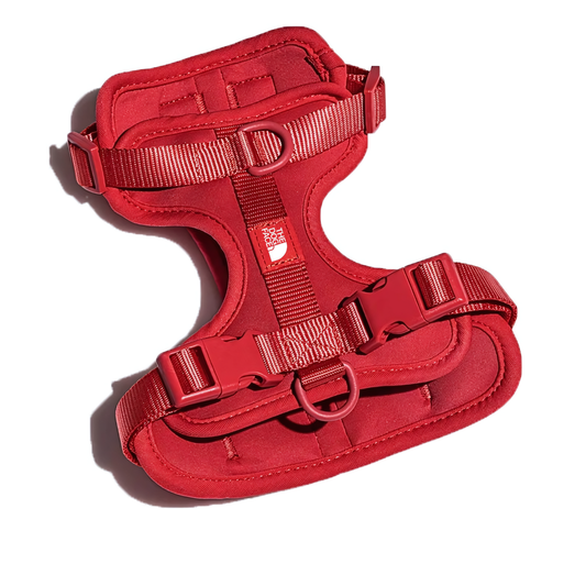 Summit Series Harness The Dog Face