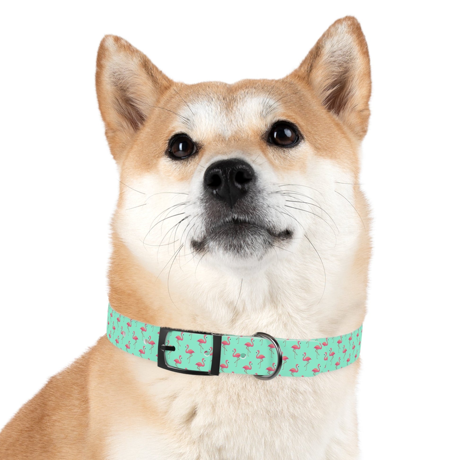 Flamingo Pattern Dog Collar, Stylish Pet Accessory, Summer Dog Gear, Perfect Gift for Dog Lovers, Adjustable Pet Collar, Tropical Dog Printify
