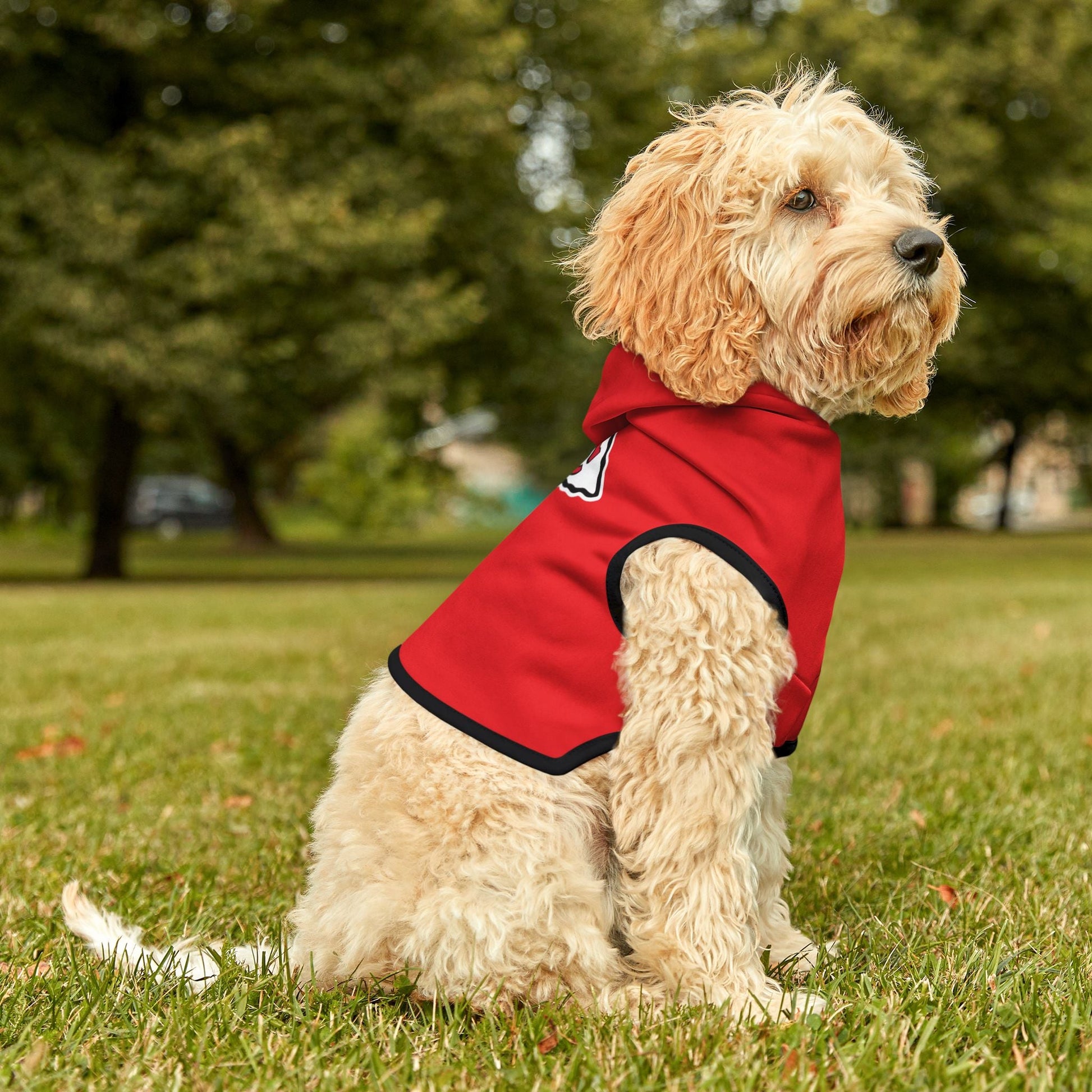 Stylish Chiefs Hoodie for Small Dogs, Cute Animal Outfit, Perfect for Game Day, Pet Costume, Dog Apparel, Red Hoodie with Logo Printify