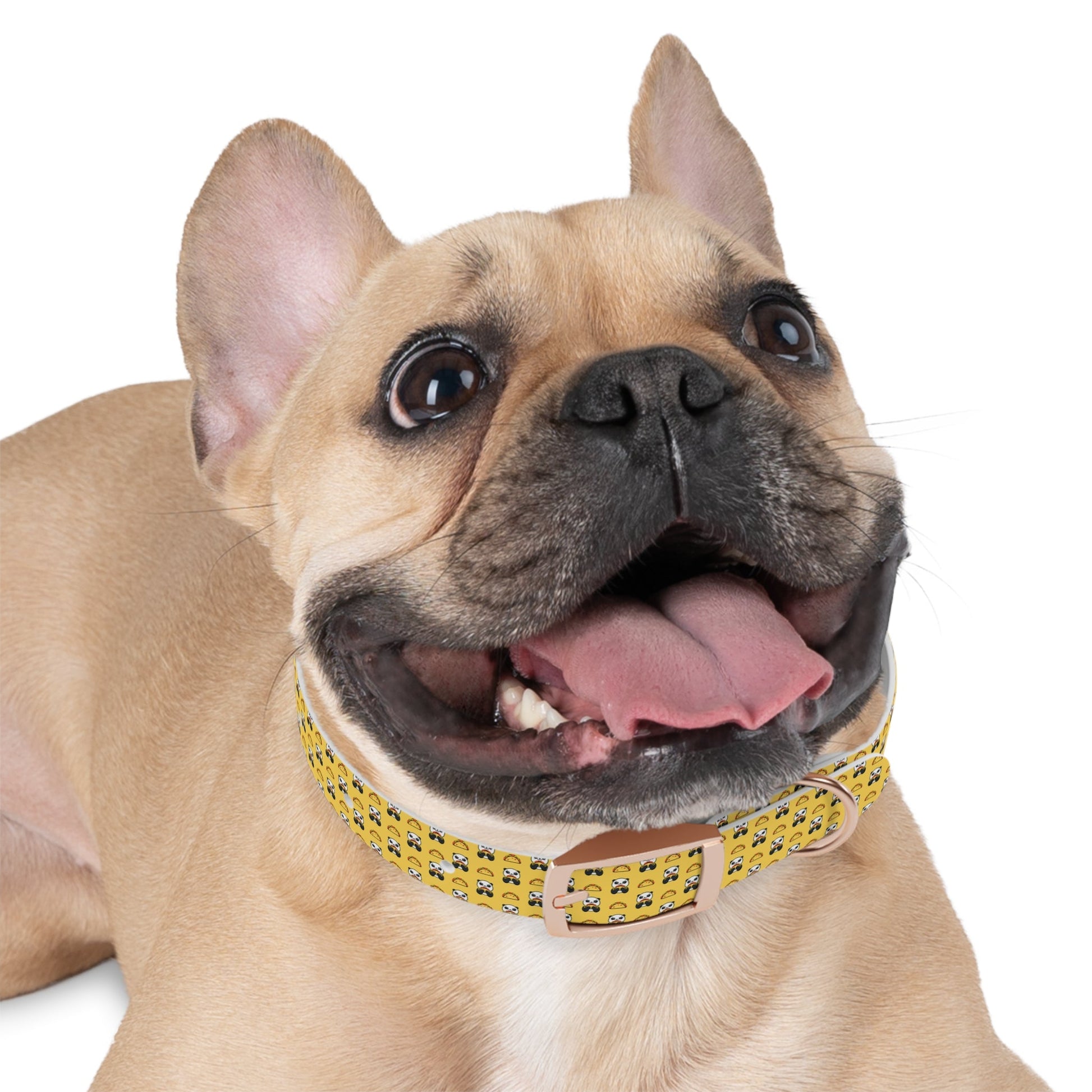 Playful Taco Dog Collar for Stylish Pups, Cute Nylon Pet Collar Printify