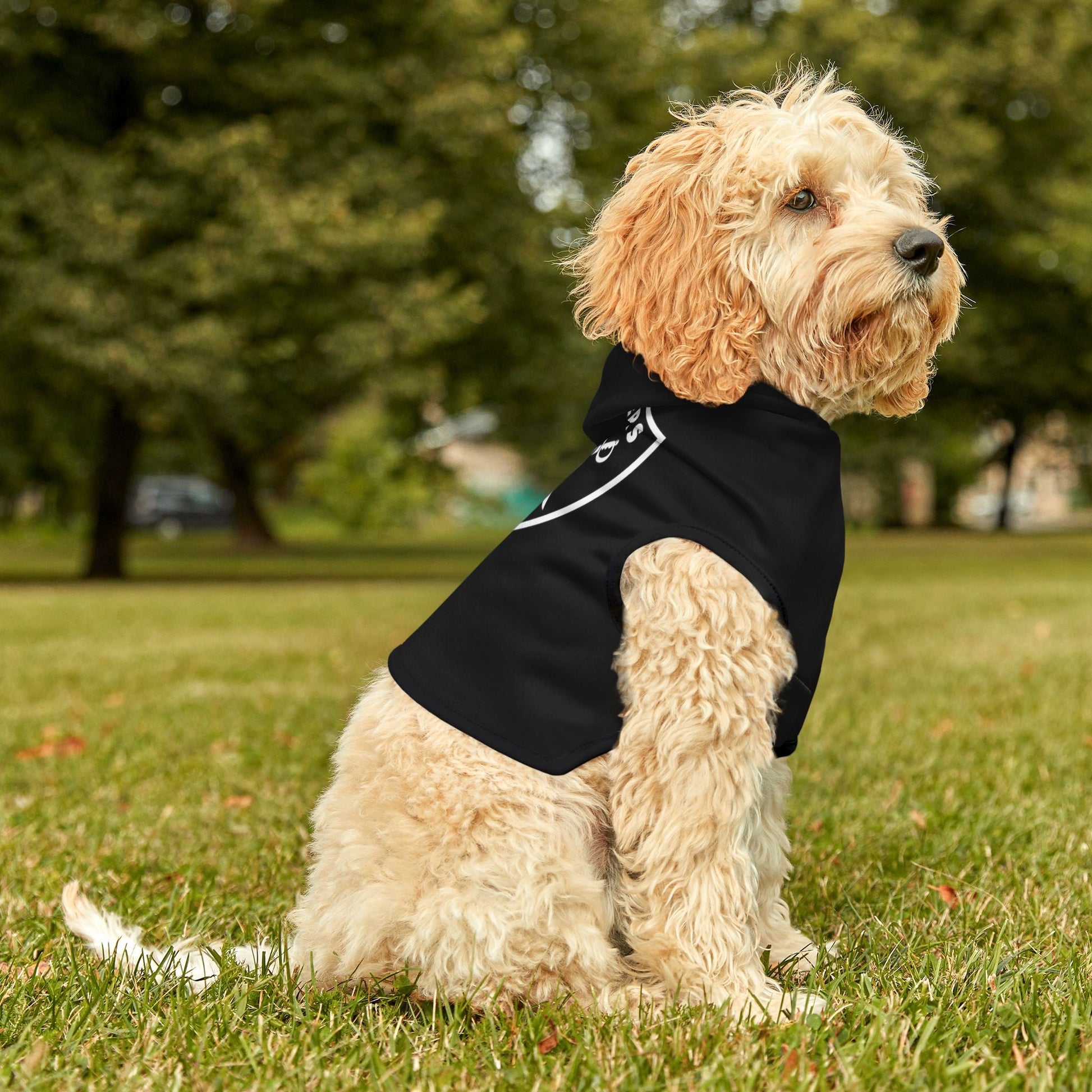 Raiders Pet Hoodie for Sports Fans, Cozy Pet Apparel, Dog & Cat Wear, NFL Team Merchandise, Perfect for Game Days Printify