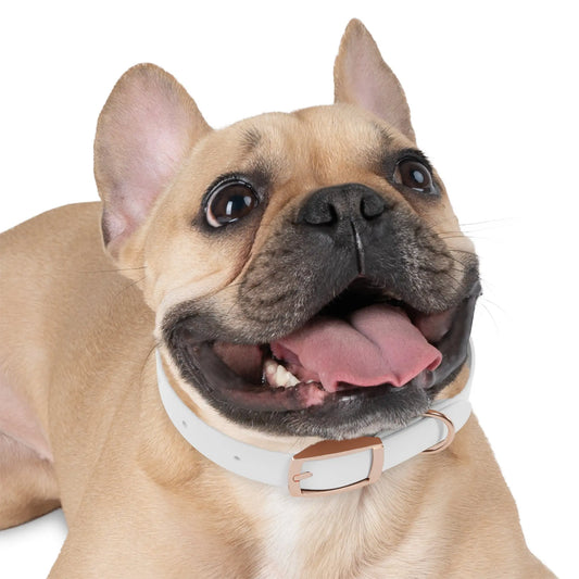 Stylish Dog Collar Printify