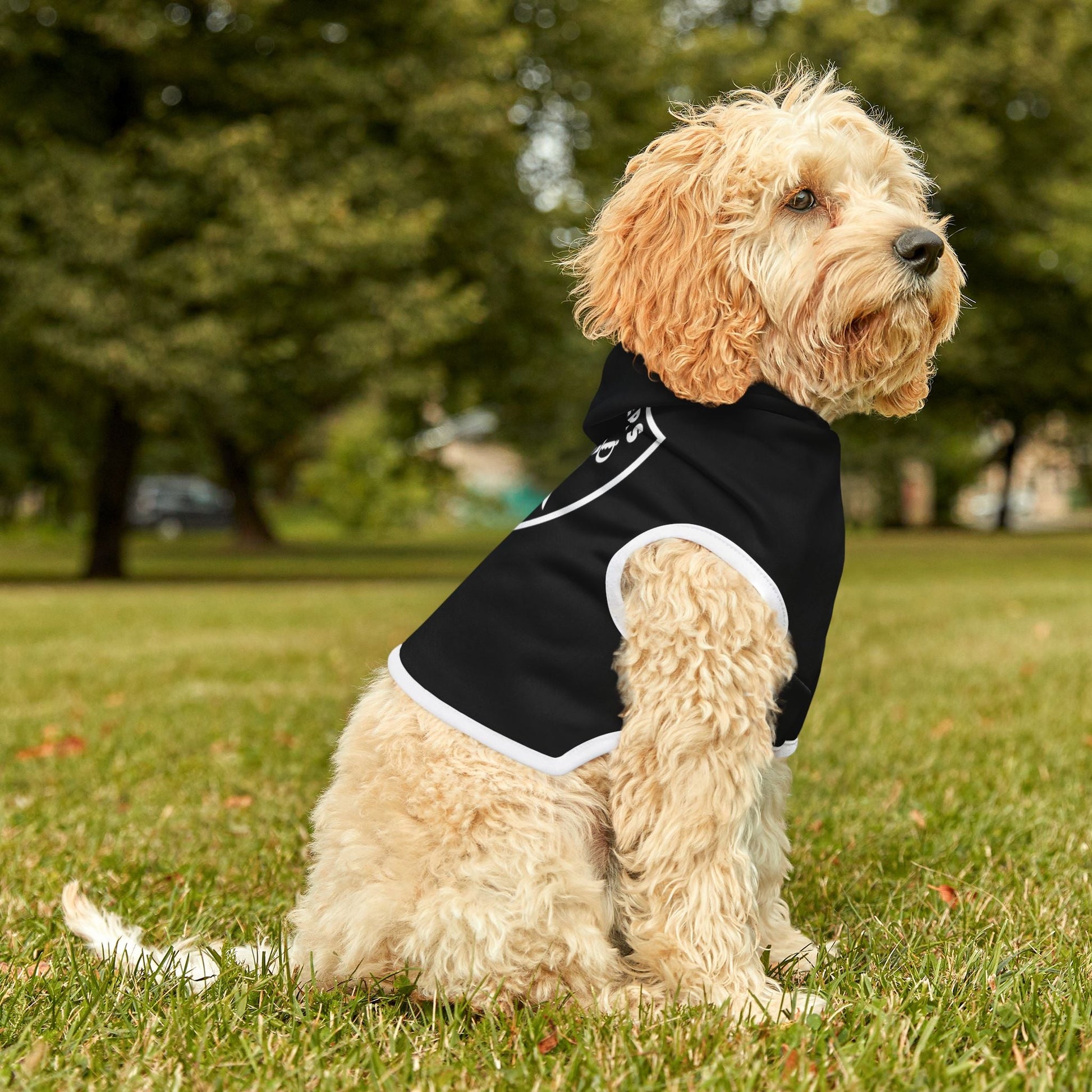 Raiders Pet Hoodie for Sports Fans, Cozy Pet Apparel, Dog & Cat Wear, NFL Team Merchandise, Perfect for Game Days Printify