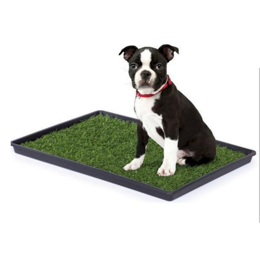 Mr. Peanut's Potty Place - Artificial Grass Puppy Pad for Dogs and Small Pets – Portable Training Pad with Tray Mr. Peanut's Pet Carriers