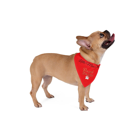 Sassy Pet Bandana, Pet Accessories Printify