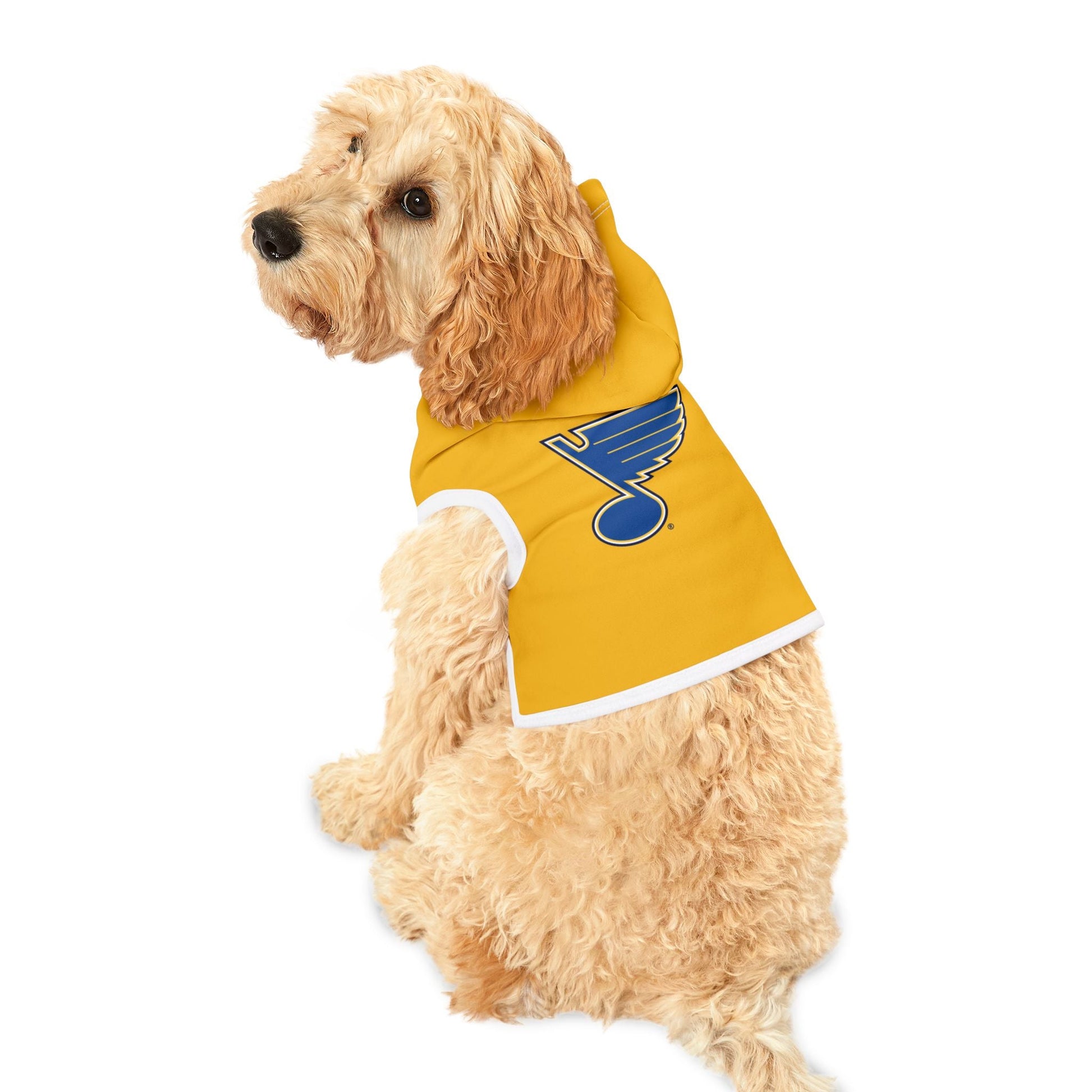 Stylish Blues Hoodie, Cozy Dog Sweater, Cute Puppy Outfit, Dog Apparel, Pet Fashion Printify