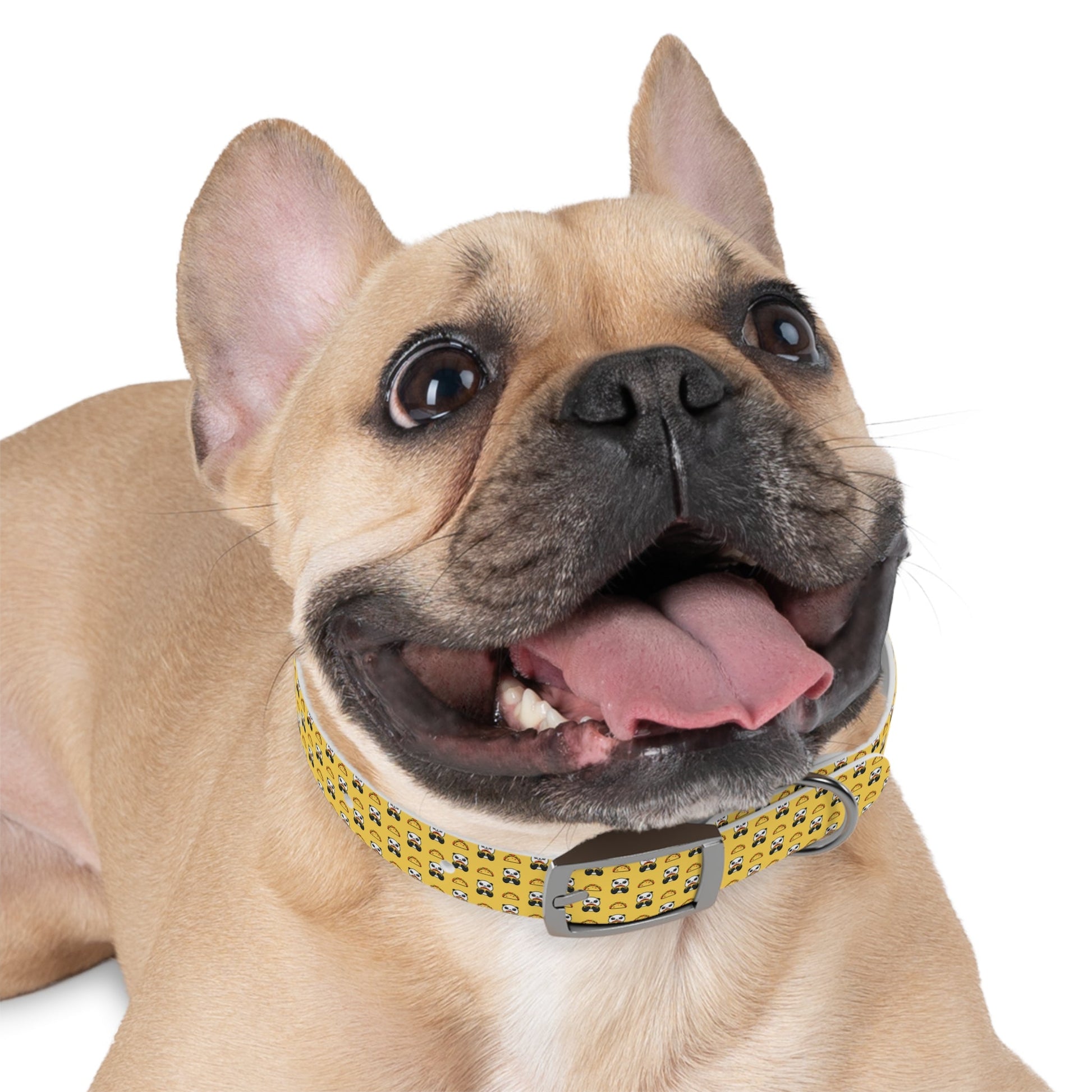 Playful Taco Dog Collar for Stylish Pups, Cute Nylon Pet Collar Printify