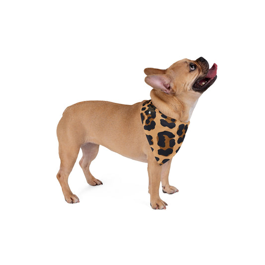 Stylish Cheetah Pawsh Print Pet Bandana Printify